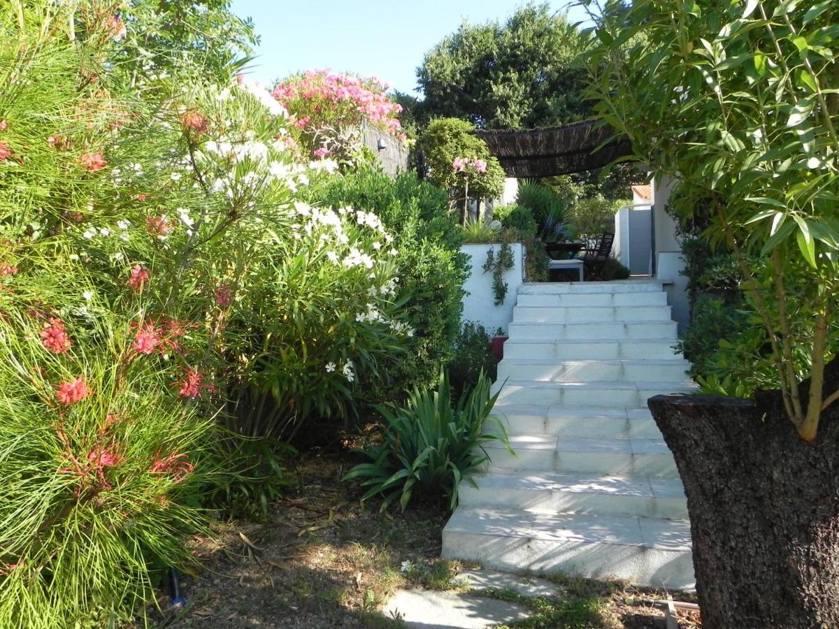 Apartmán Au Pied Du Baou Avec Jardin Prive Toulon Exteriér fotografie