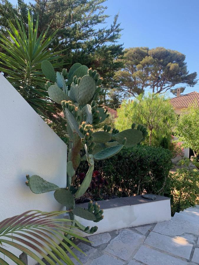 Apartmán Au Pied Du Baou Avec Jardin Prive Toulon Exteriér fotografie