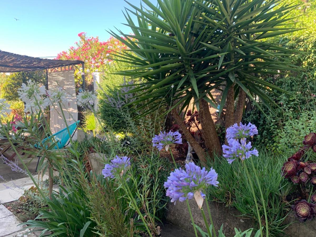 Apartmán Au Pied Du Baou Avec Jardin Prive Toulon Exteriér fotografie