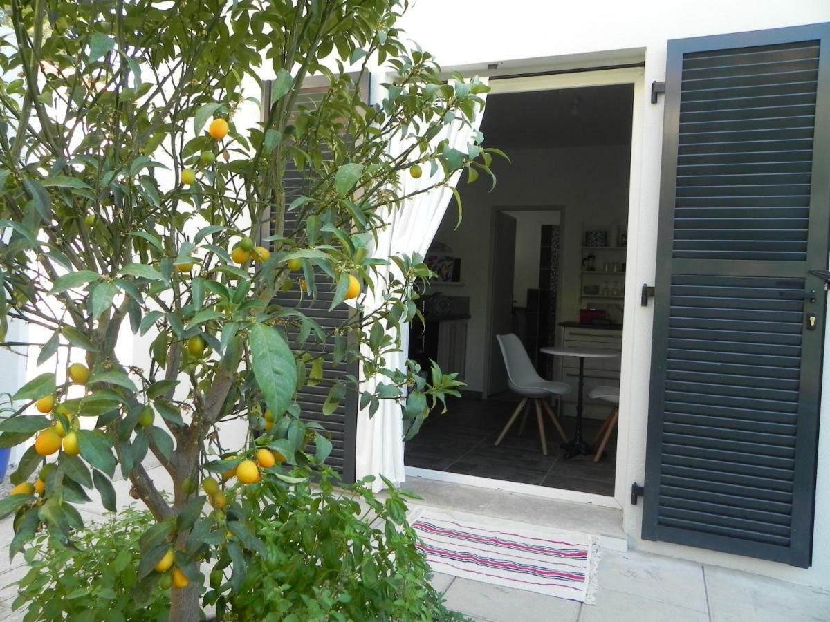 Apartmán Au Pied Du Baou Avec Jardin Prive Toulon Exteriér fotografie